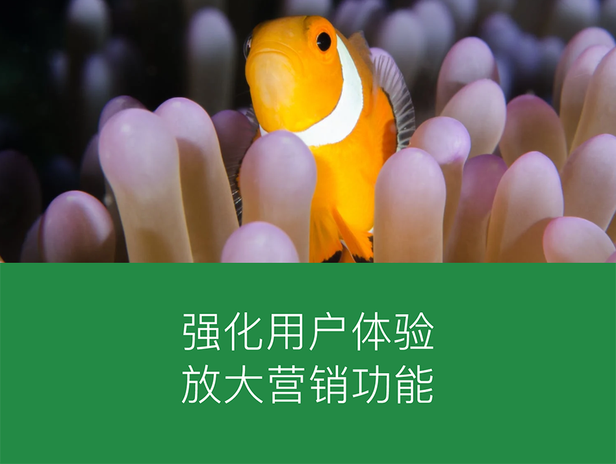 济南小程序定制开发